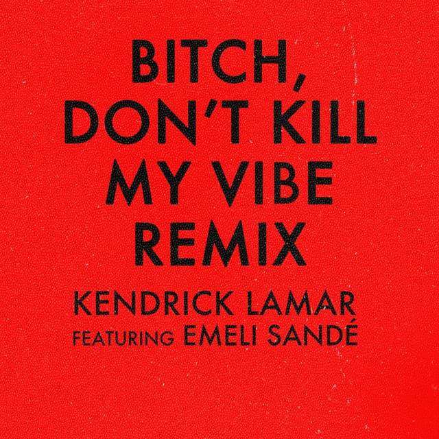 Bitch, Don't Kill My Vibe (Remix)