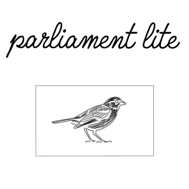 sparrow
