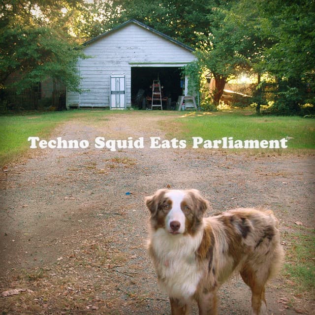 Clovers in the School Yard: Early Demos of Techno Squid Eats Parliament