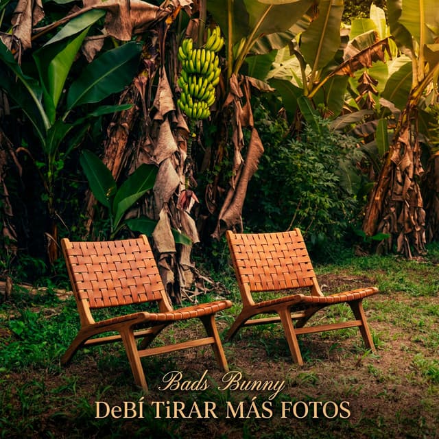 Debí Tirar Más Fotos