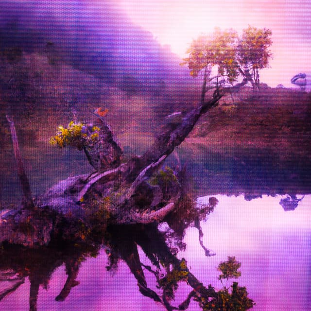Unspoken Serenity