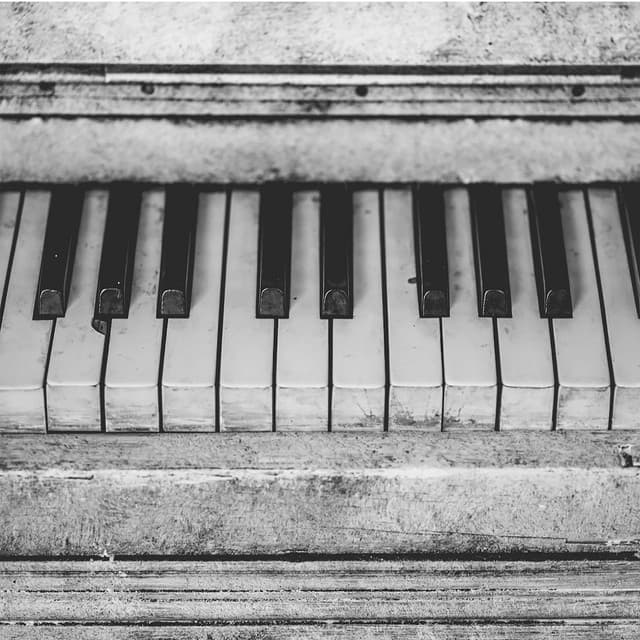 Taylor Swift - The Tortured Poets Department - Piano Covers