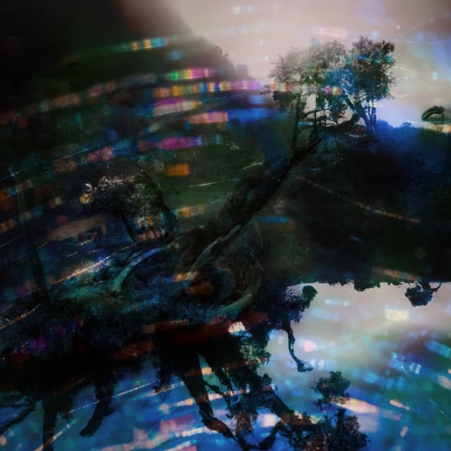Echoes in the Silent Void