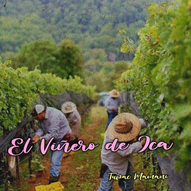 El Viñero en Ica