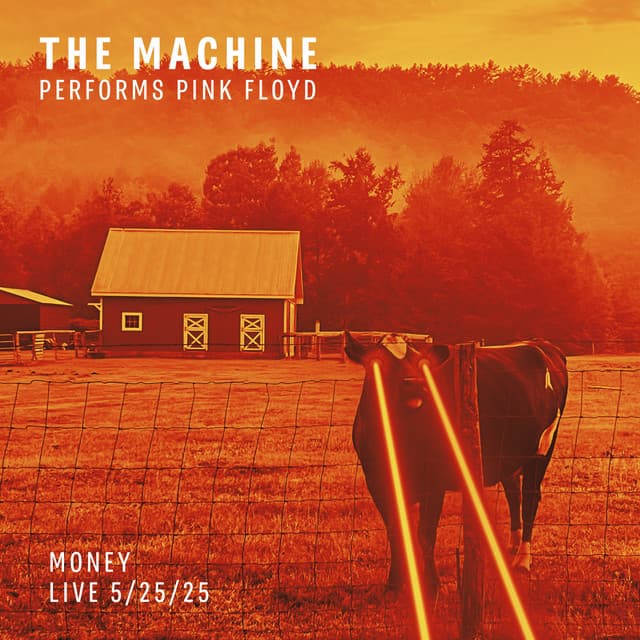 Money (Live 5.25.25)