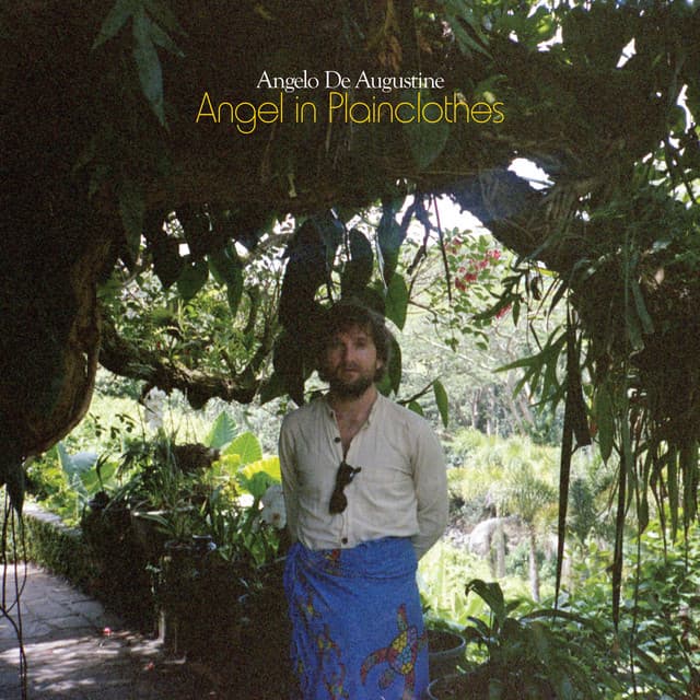 Angel in Plainclothes