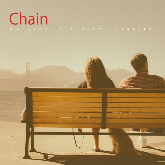 Chain