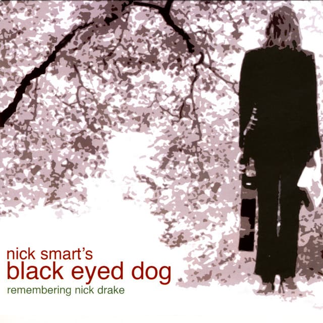 Remembering Nick Drake