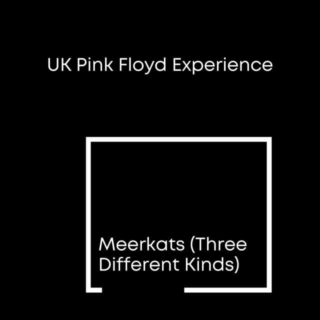 Meerkats (Three Different Kinds)