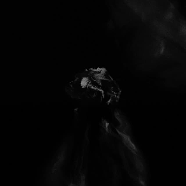 supernova