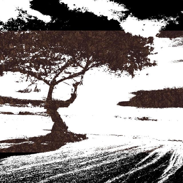Serenity Waves